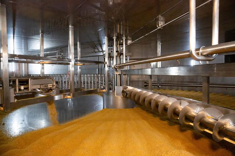 Golden koji grain inside stainless steel koji-making equipment